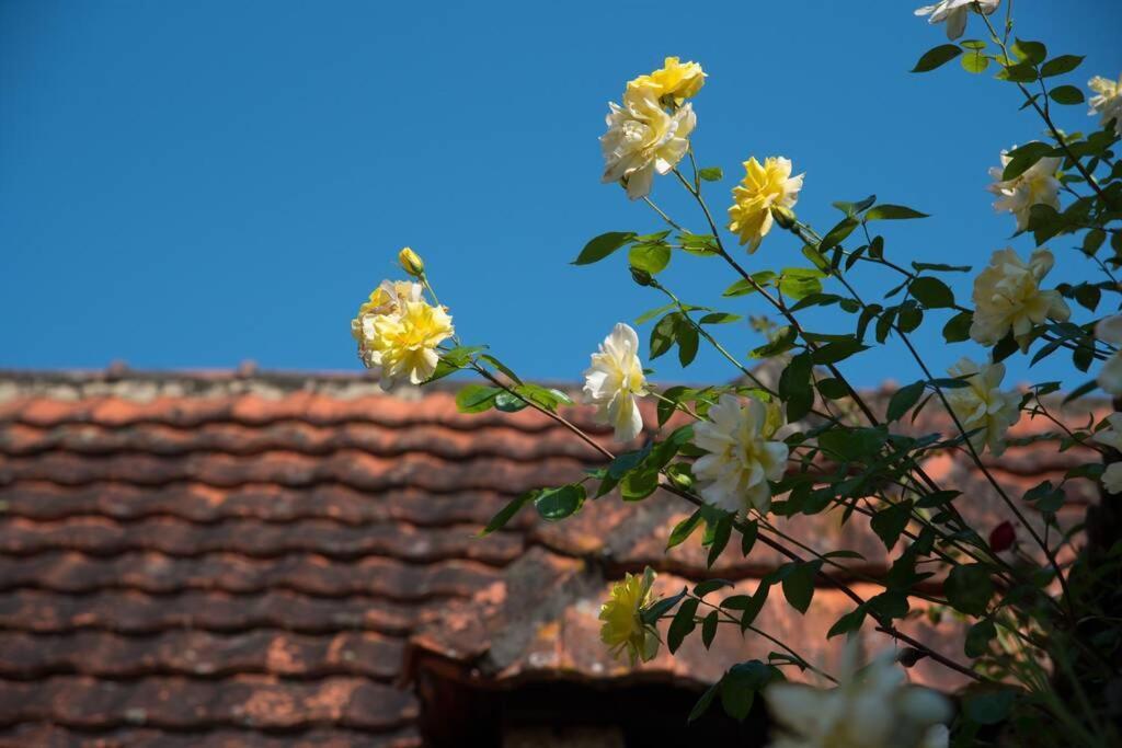 La Ferme Du Coustal Villa Vialot Kültér fotó